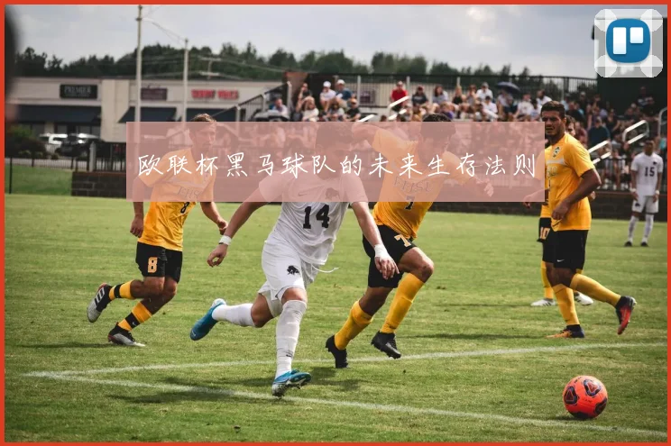 欧联杯黑马球队的未来生存法则