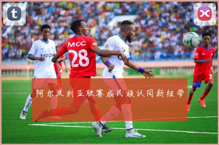 阿尔及利亚联赛成民族认同新纽带