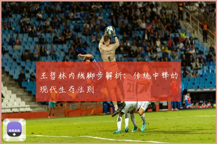 王哲林内线脚步解析：传统中锋的现代生存法则