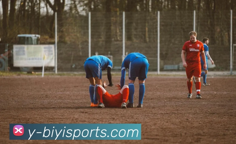 必一体育APP 封面图